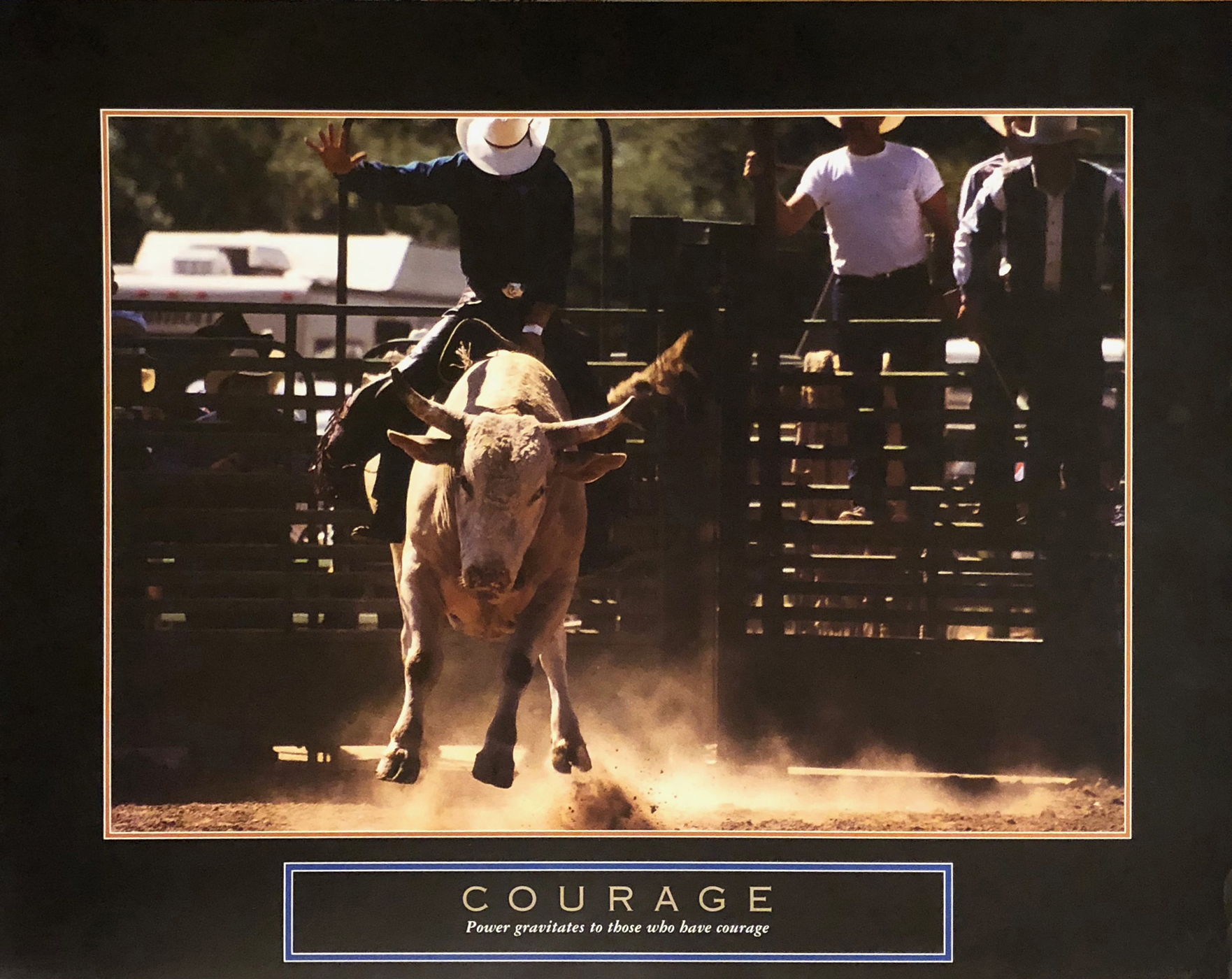 Courage - Bullrider