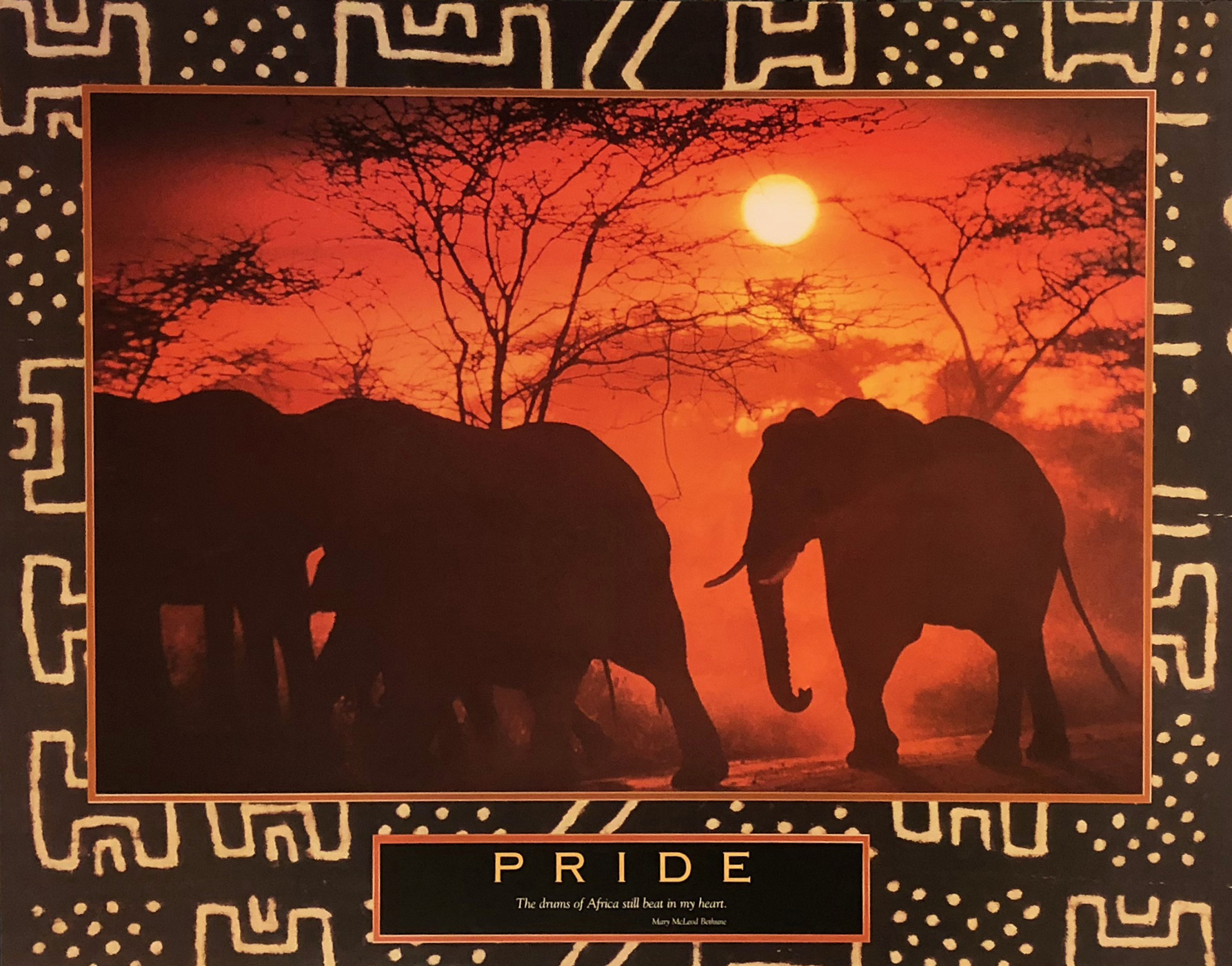 Pride - Elephants At Sunset