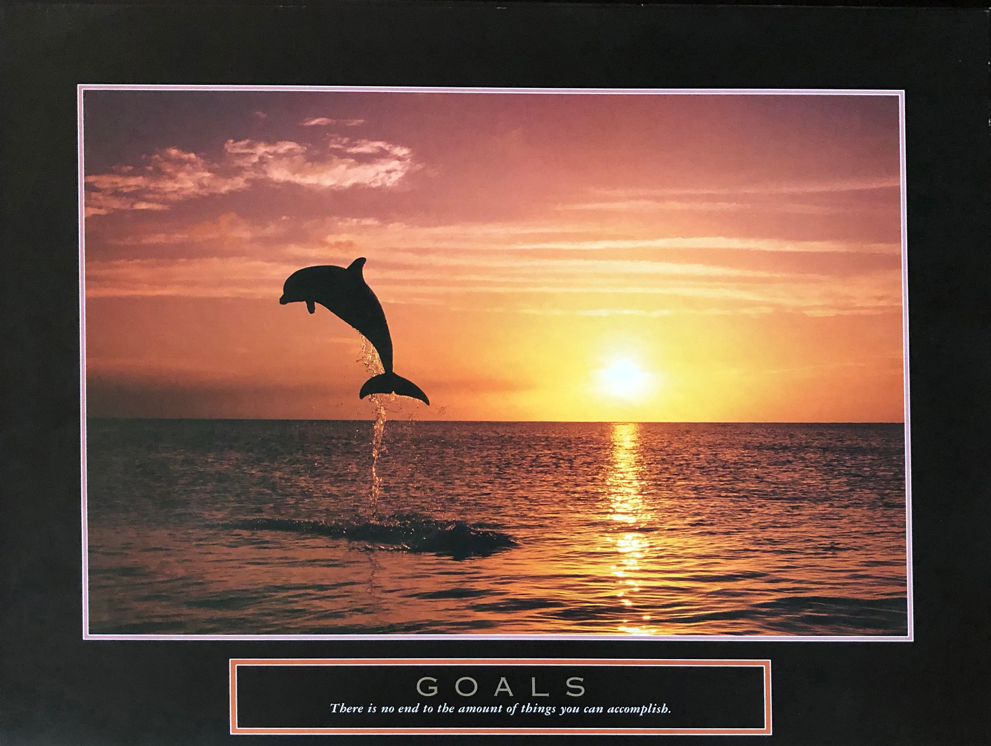 Goals - Dolphins