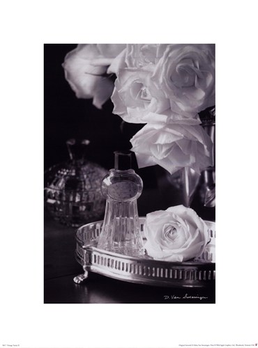 Vintage Vanity II