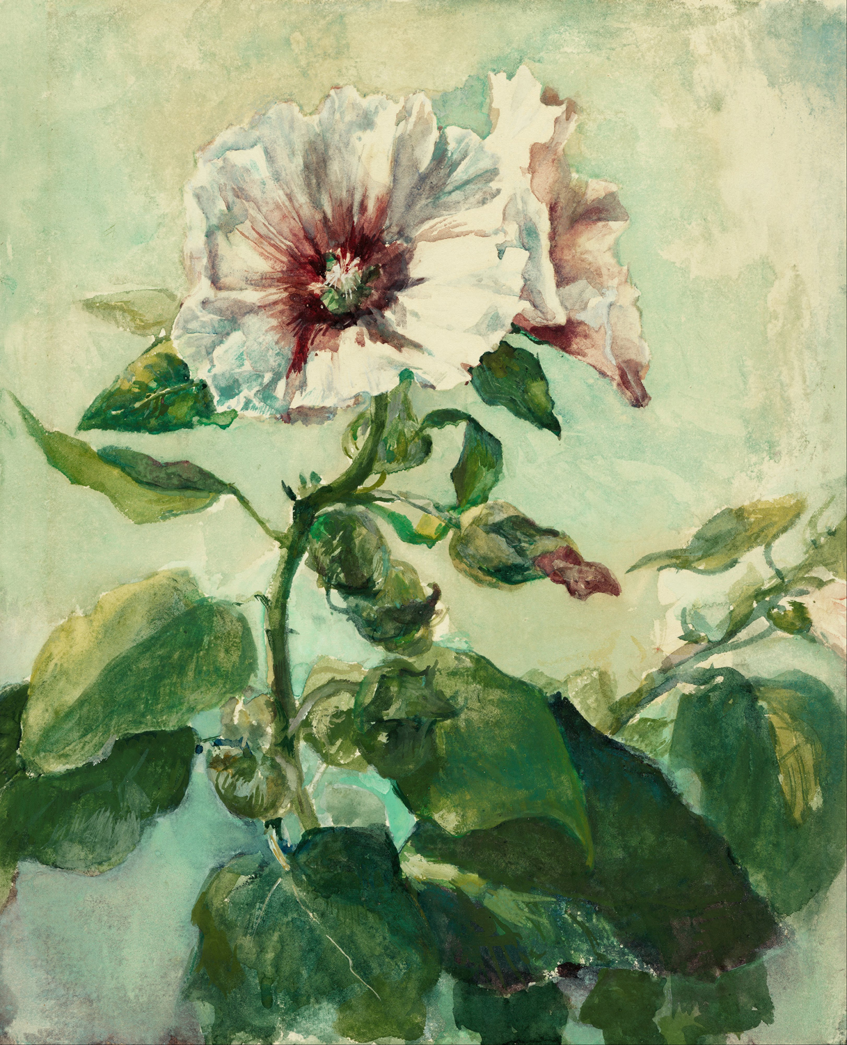 Study of Pink Hollyhocks in Sunlight from Nature, 1879