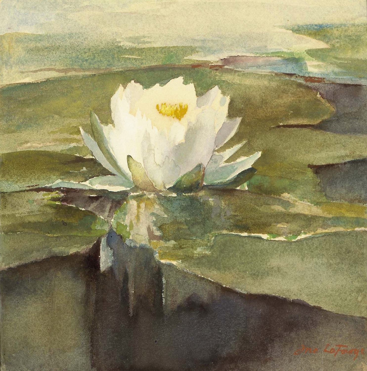 Water Lily in Sunlight, c. 1883
