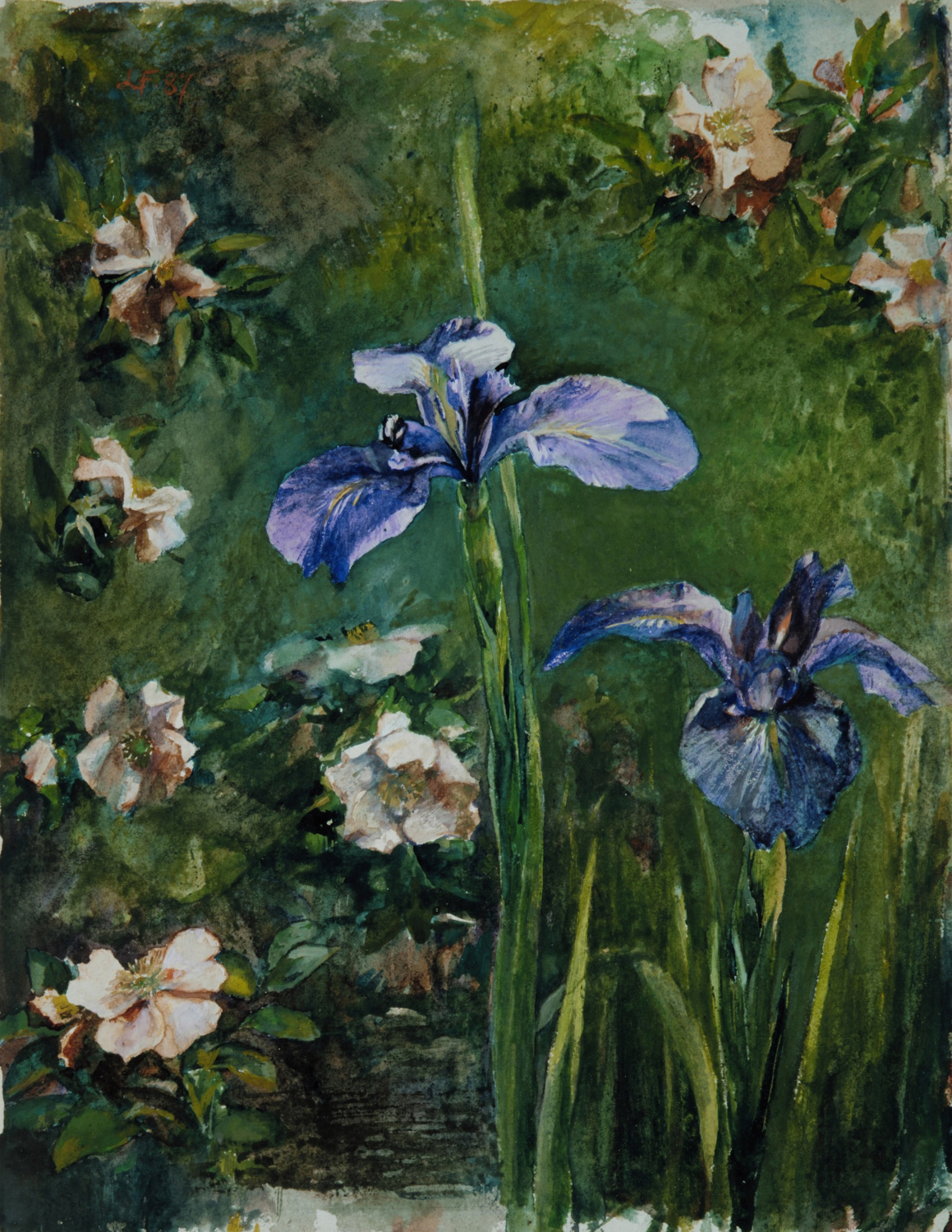 Wild Roses and Irises, 1887