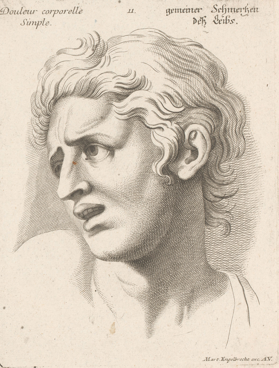 Head of a Man in a State of Pain, 17th century