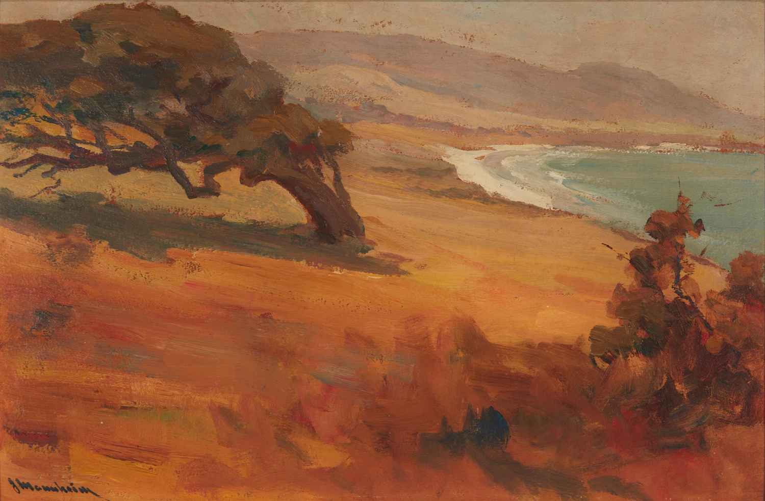 Coastal Cypress, 20th century