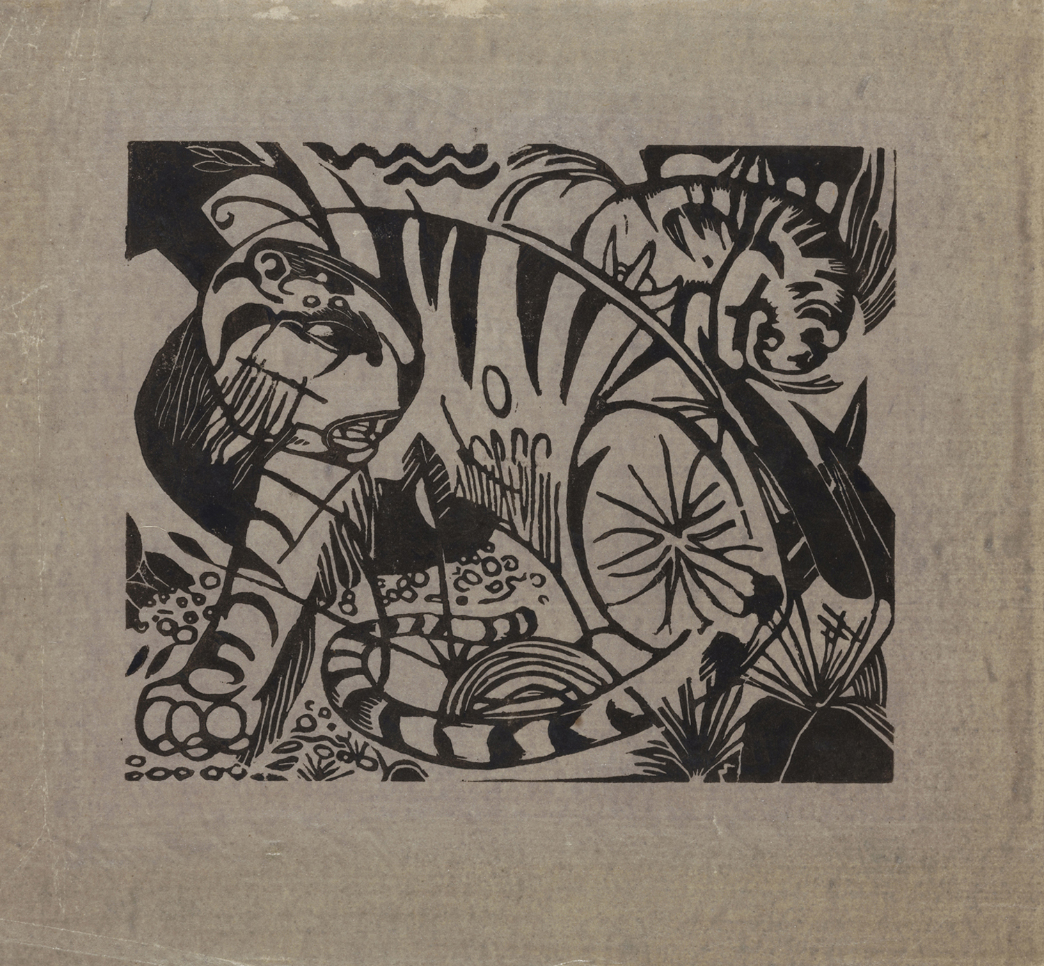 Tiger, 1912