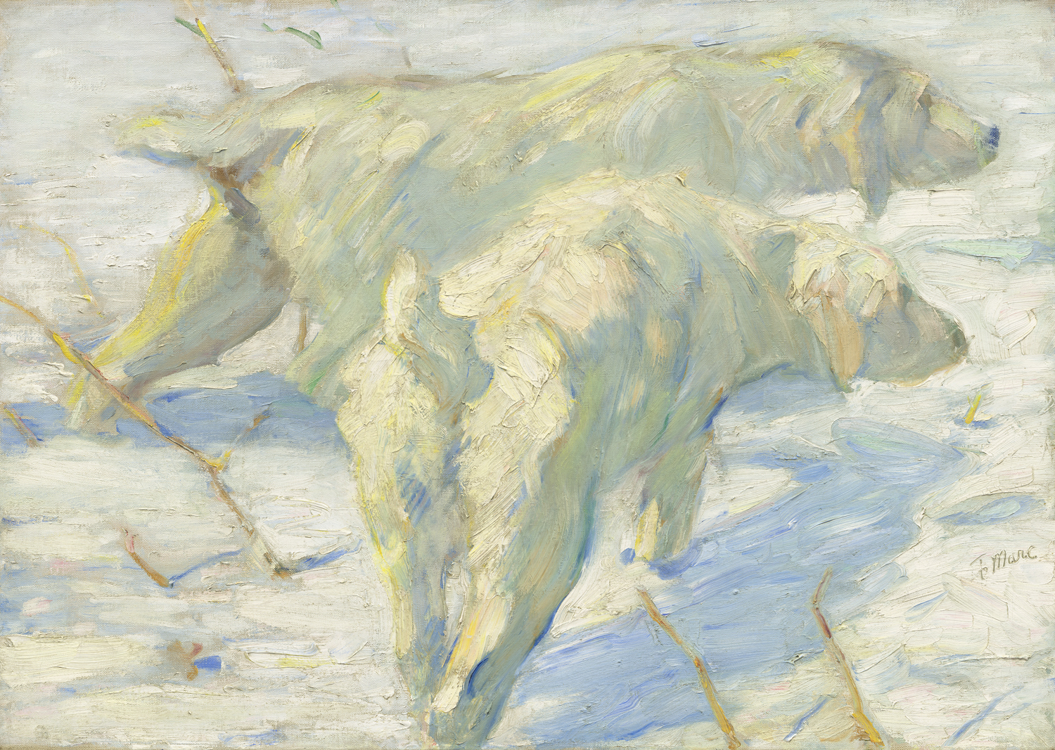 Siberian dogs in the Snow, 1909-10