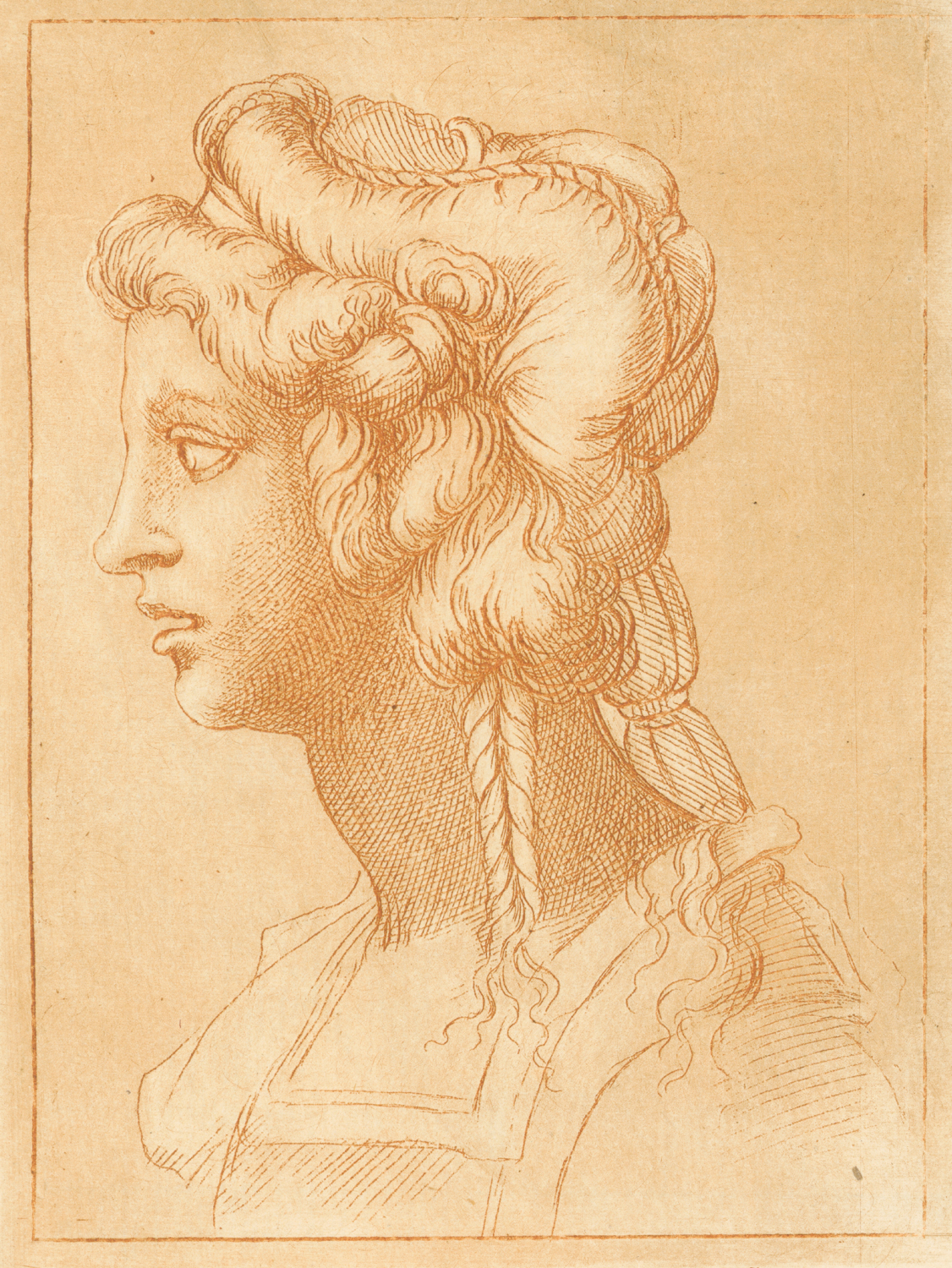 Study of a Female Head in Profile
