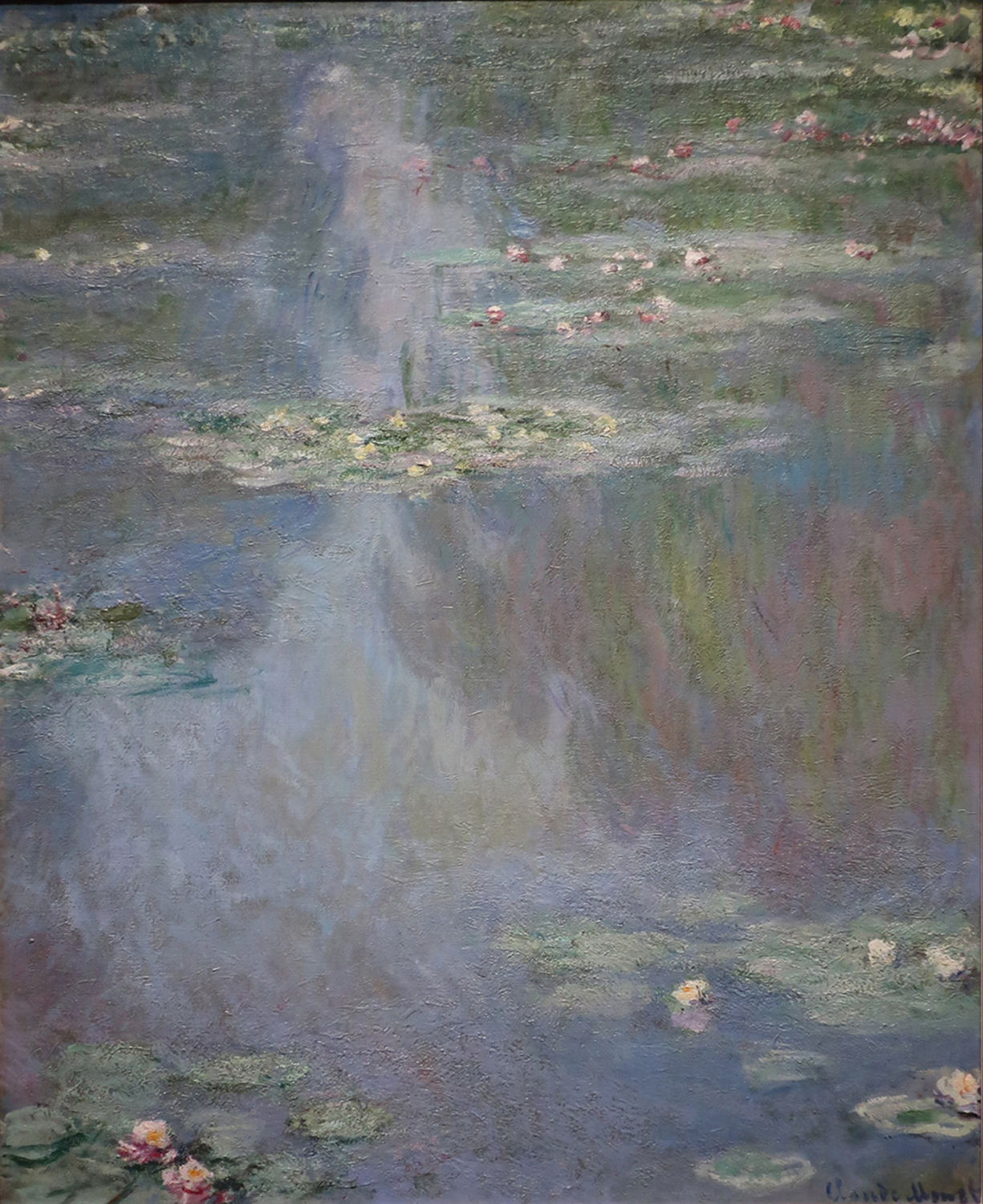 Water Lilies, 1907