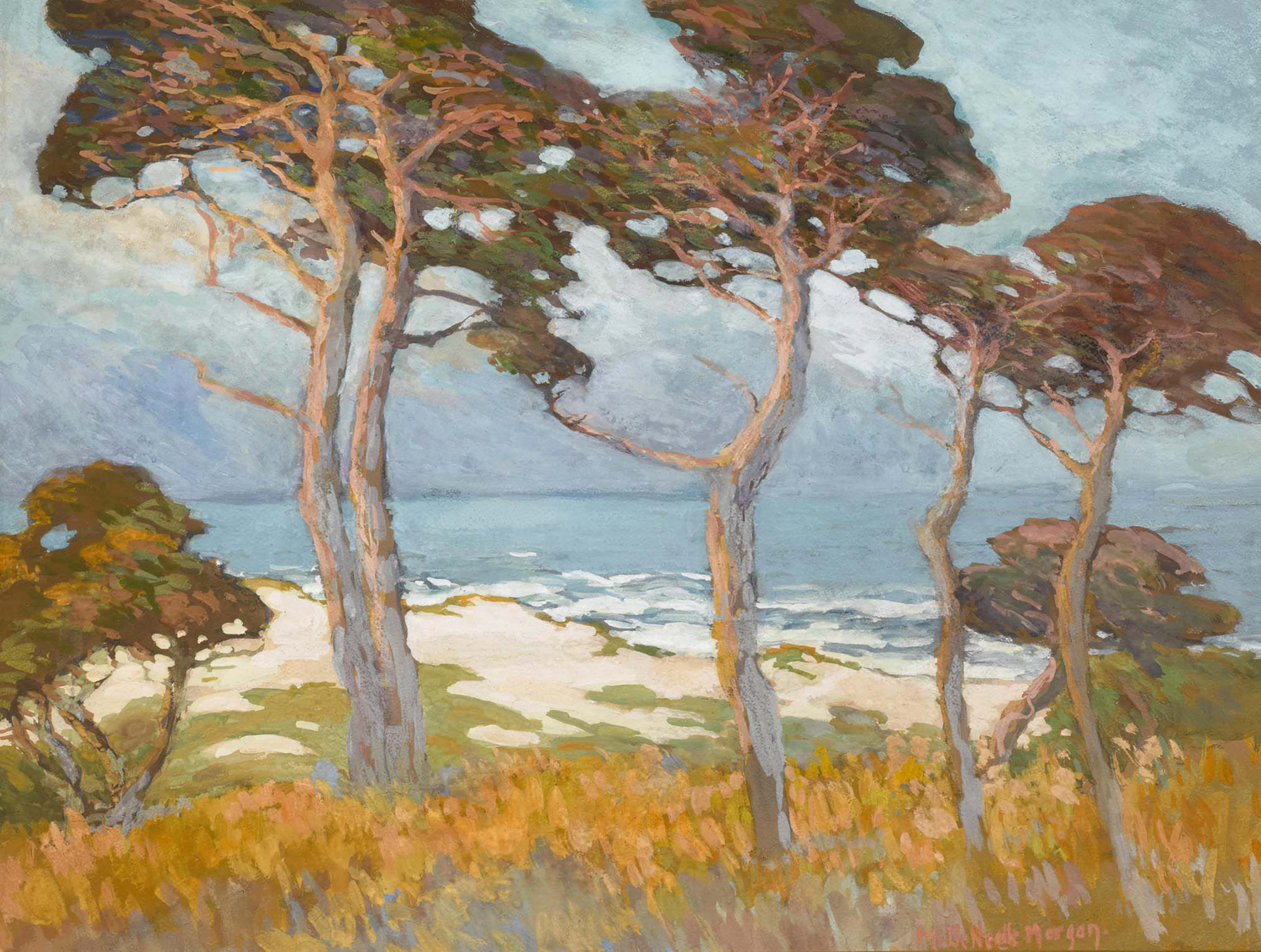 Cypress at Monterey, 20th century