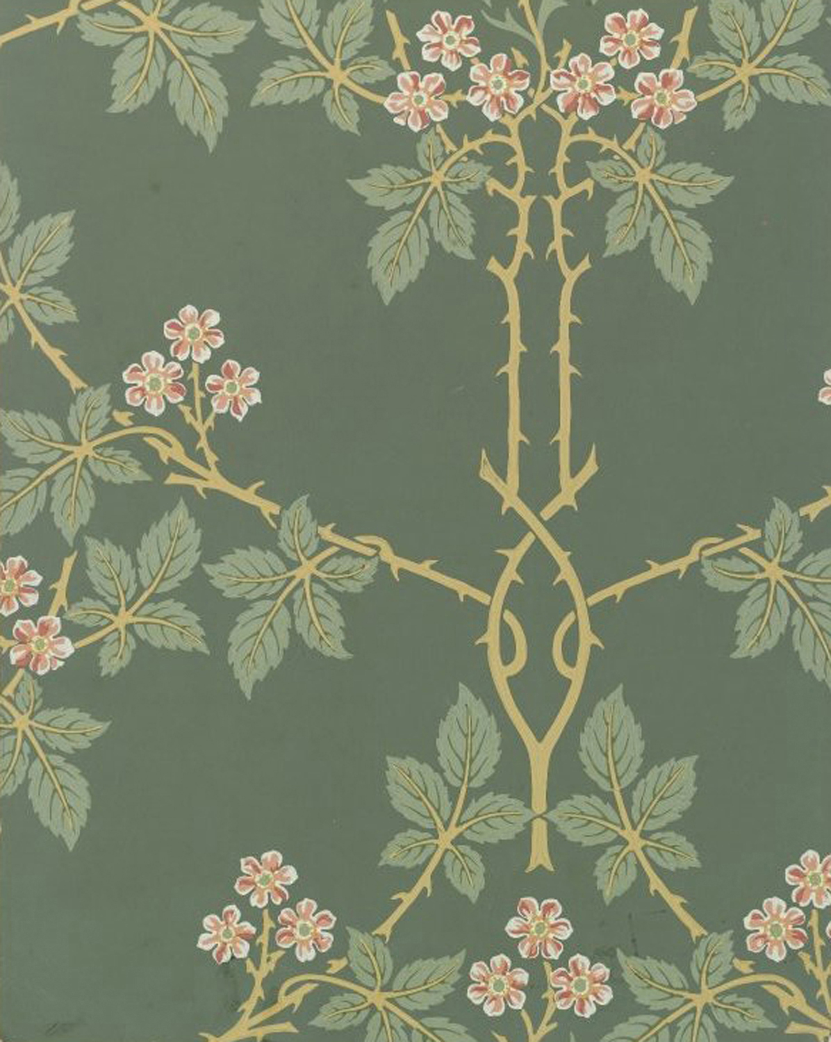 Blackberry Wallpaper, c. 1915-17