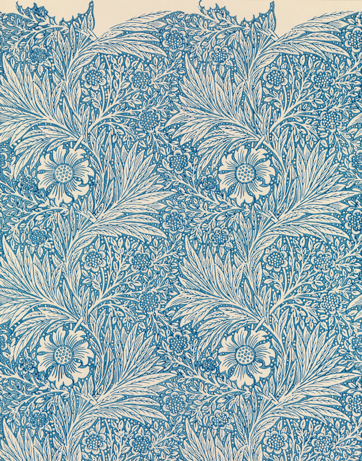 Marigold, 1875