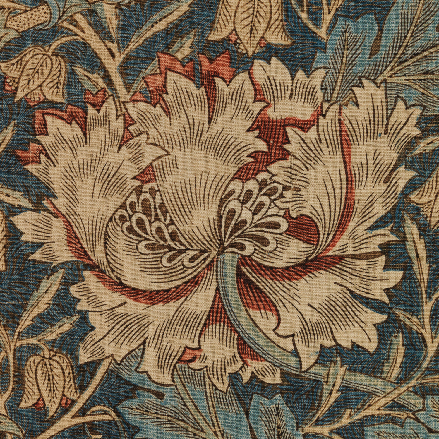 Honeysuckle (detail), 1876