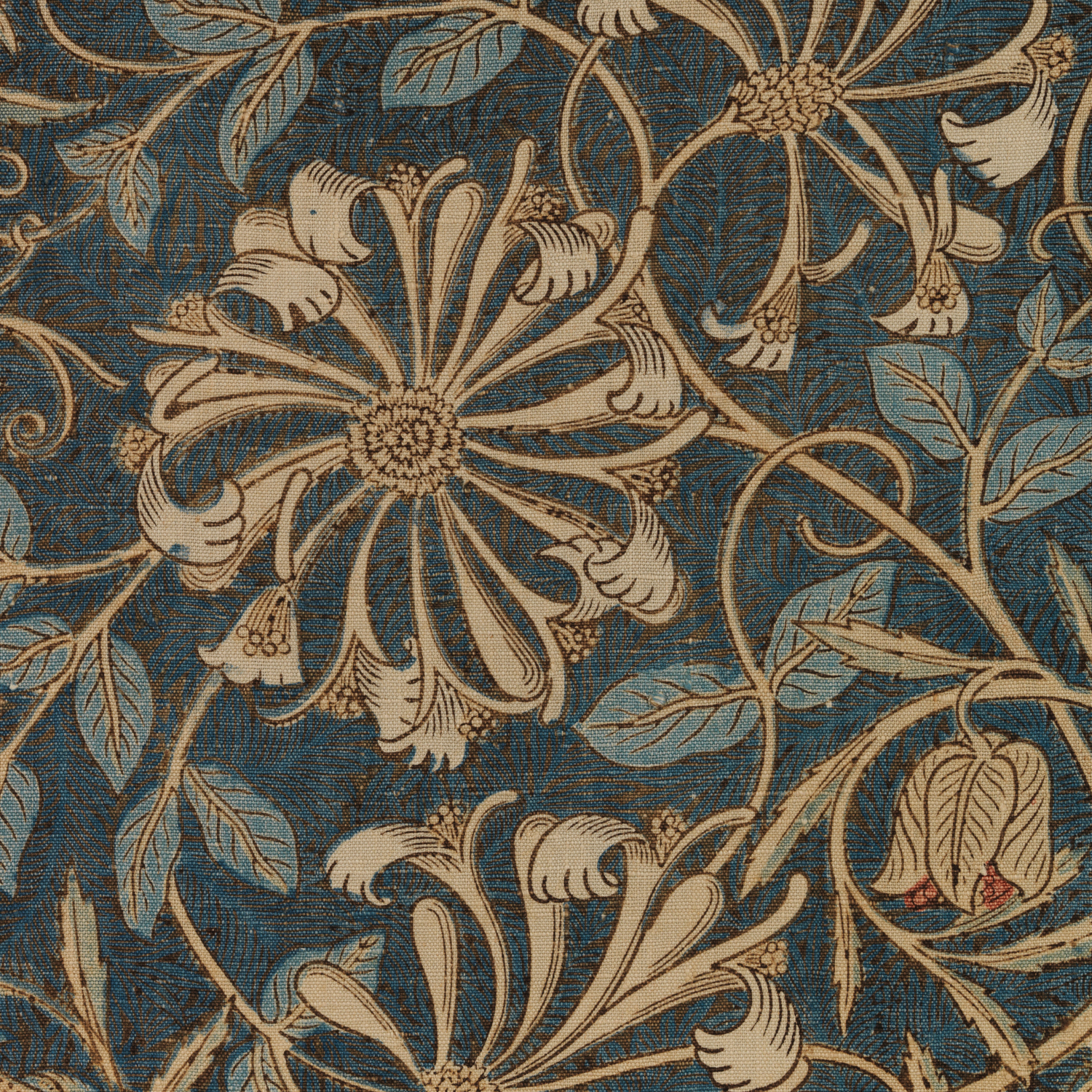Honeysuckle (detail), 1876