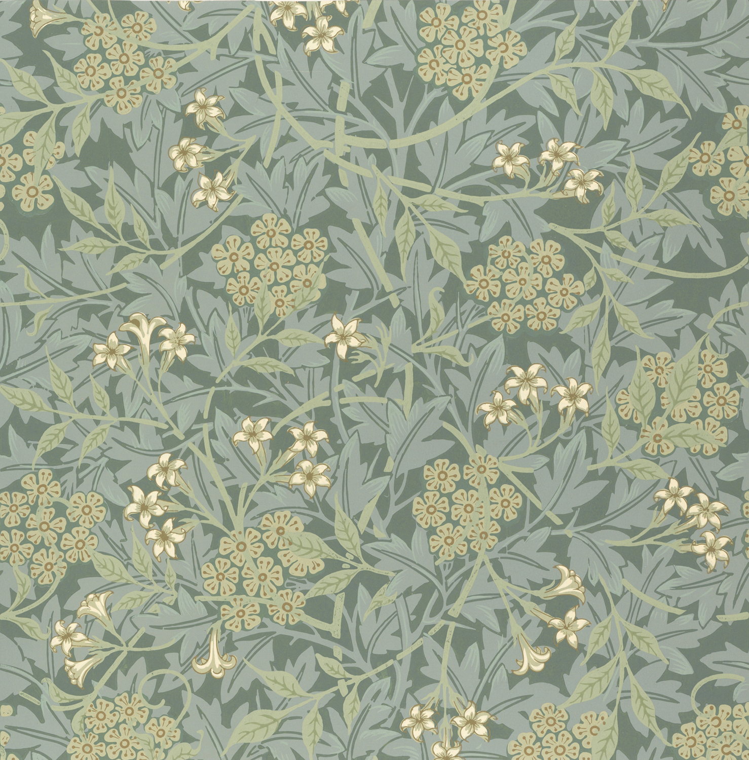 Jasmine, 1872