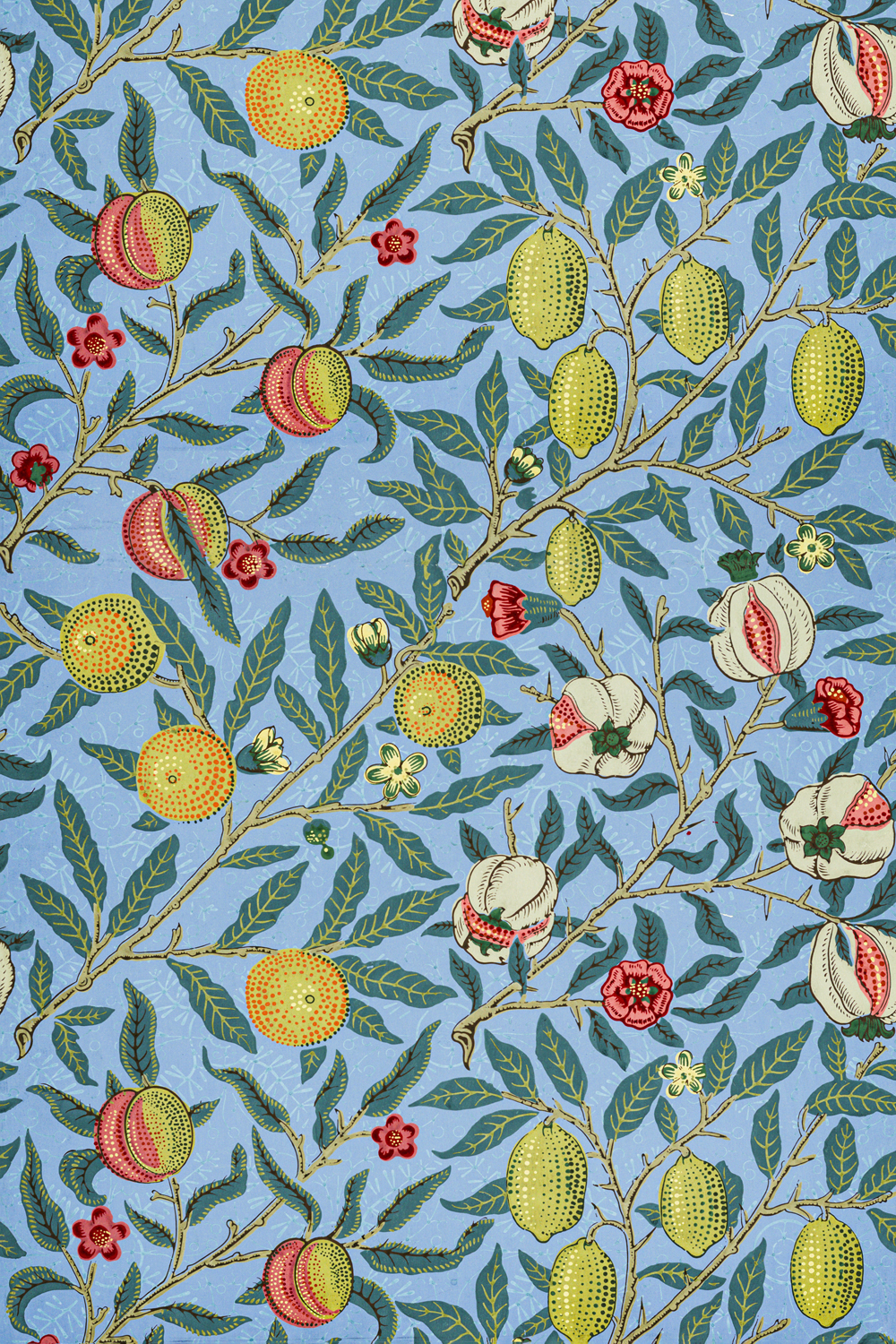 Four Fruits, 1862