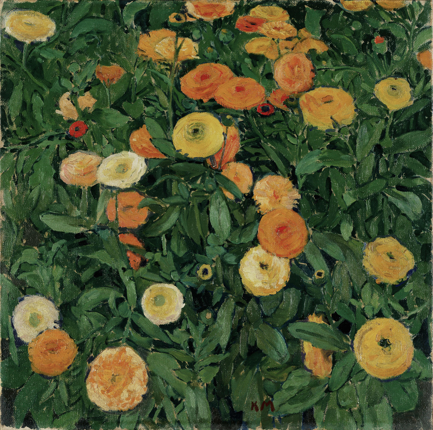 Marigolds, 1909