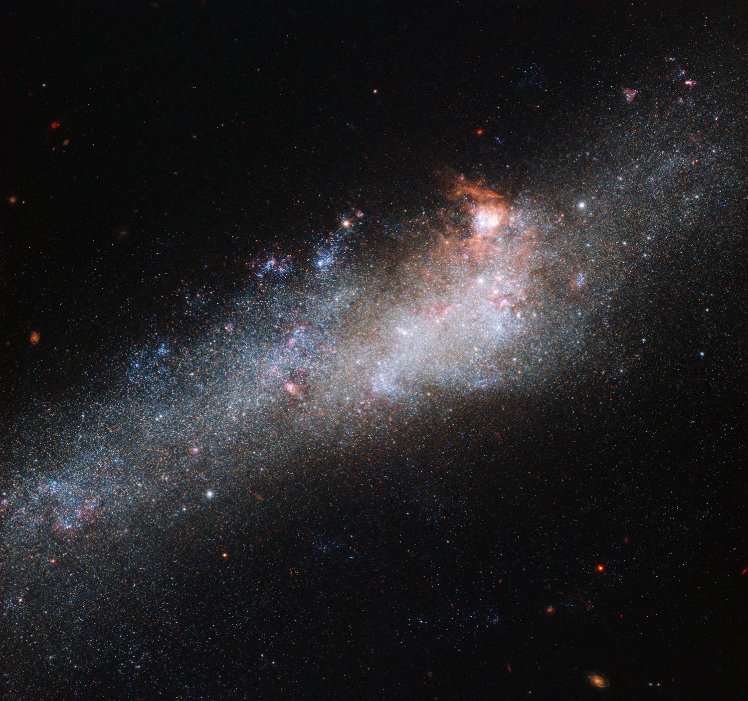 Galaxy NGC 4656 or the Hockey Stick Galaxy, Located in the Constellation of Canes Venatici (The Hunting Dogs)