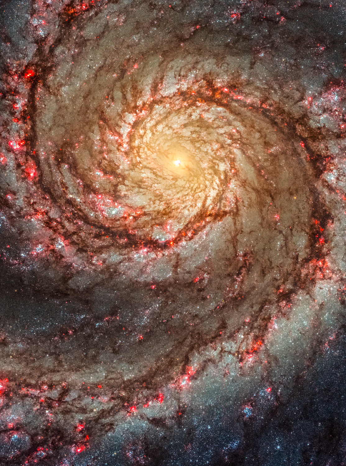 The Whirlpool Galaxy (Messier 51)