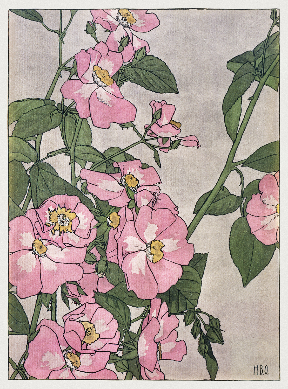 Prairie Rose, 1915