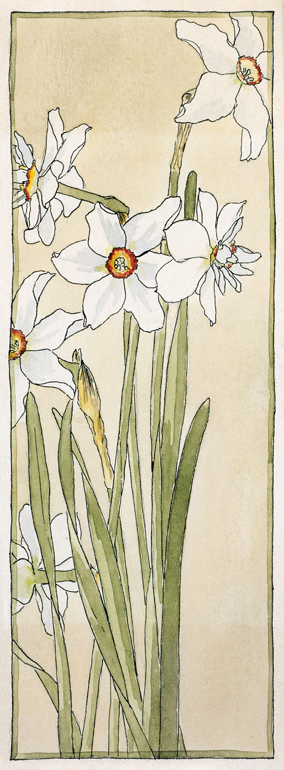 Poet's Narcissus, 1915