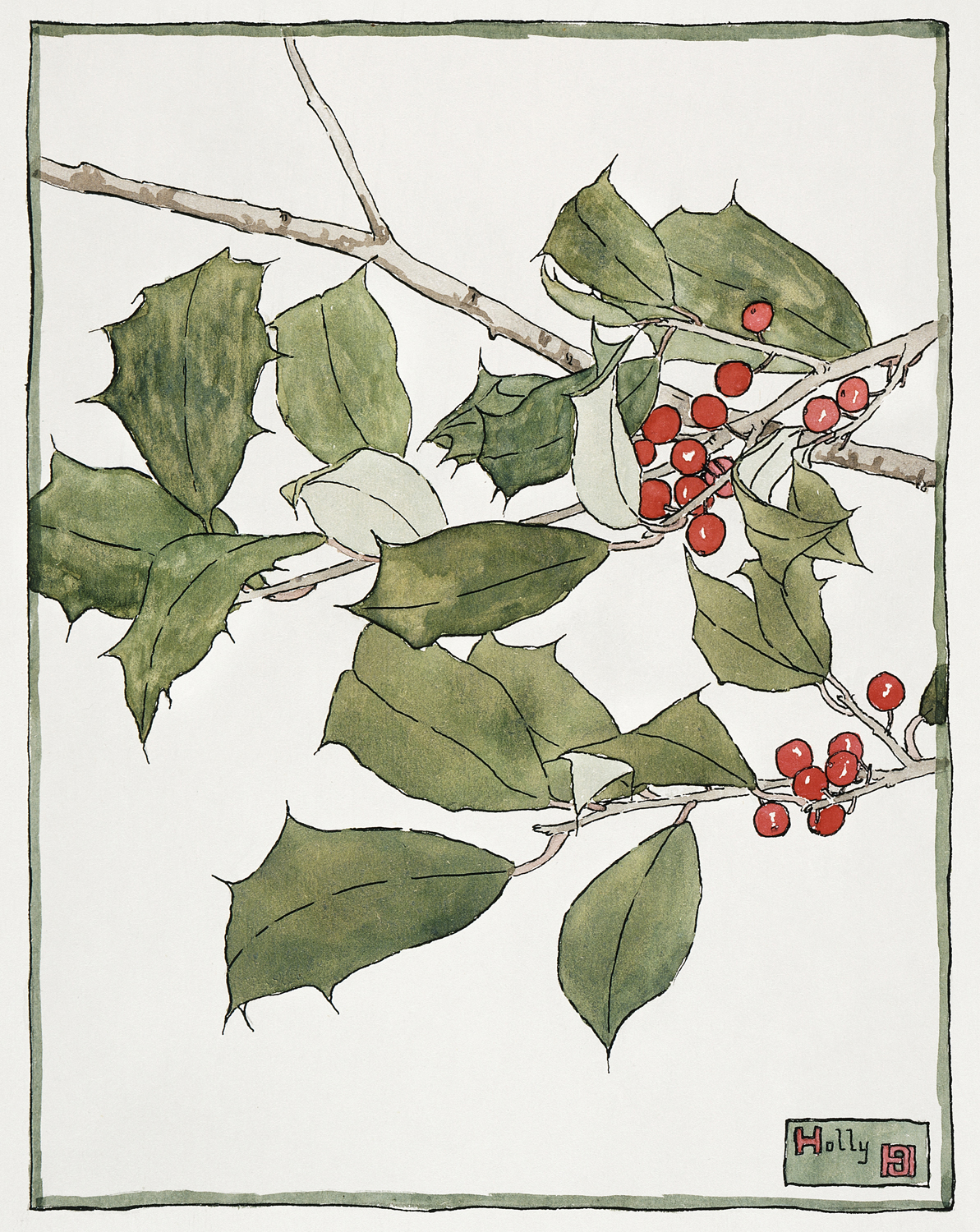 Holly, 1915