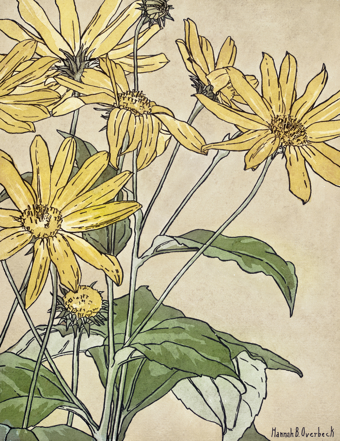 Sunflowers, 1915