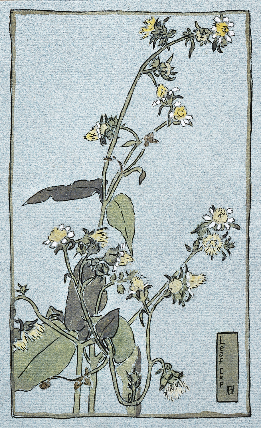 Leaf Cup, 1915