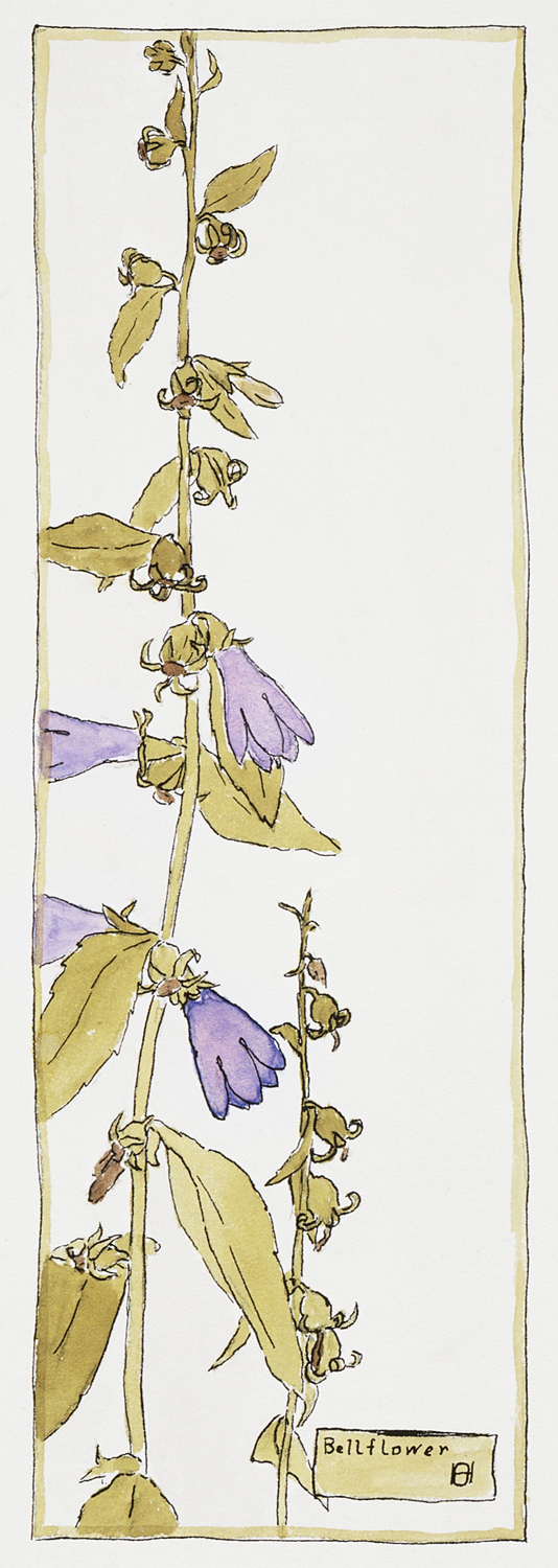 Bell Flower, 1915