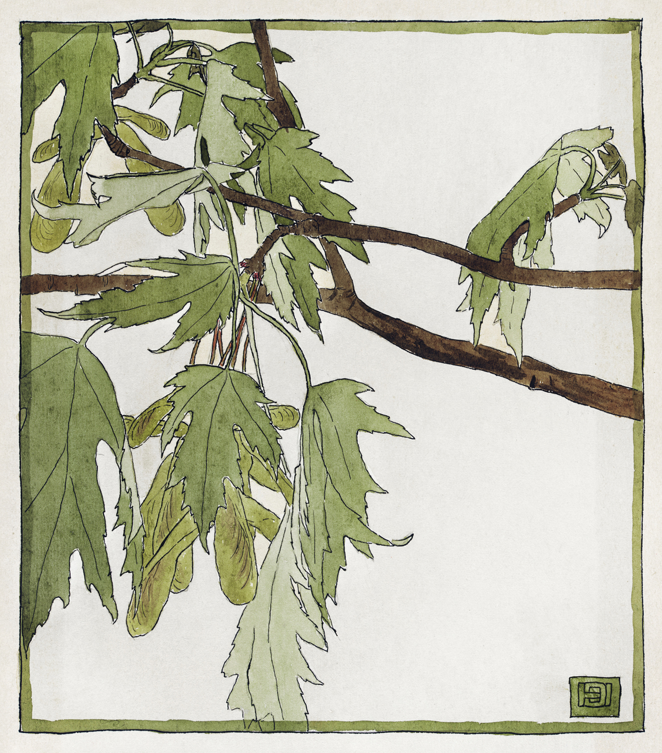 Maple, 1915