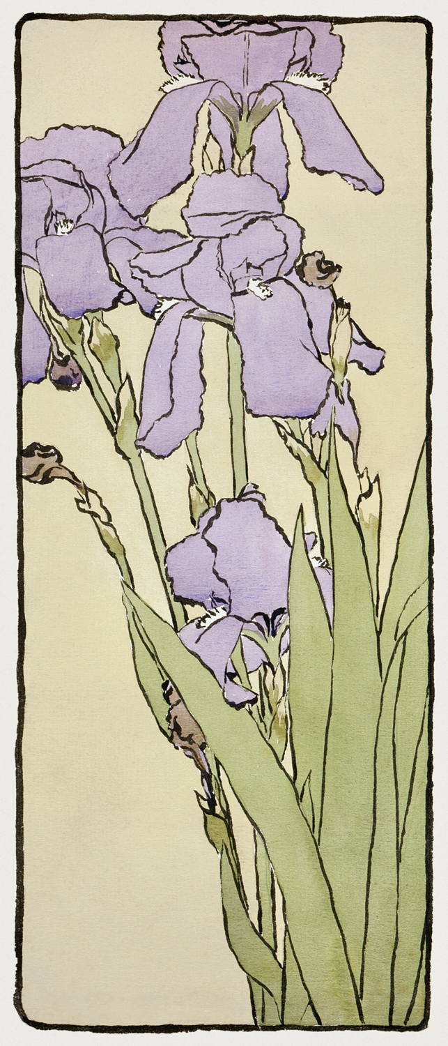 Iris, 1915