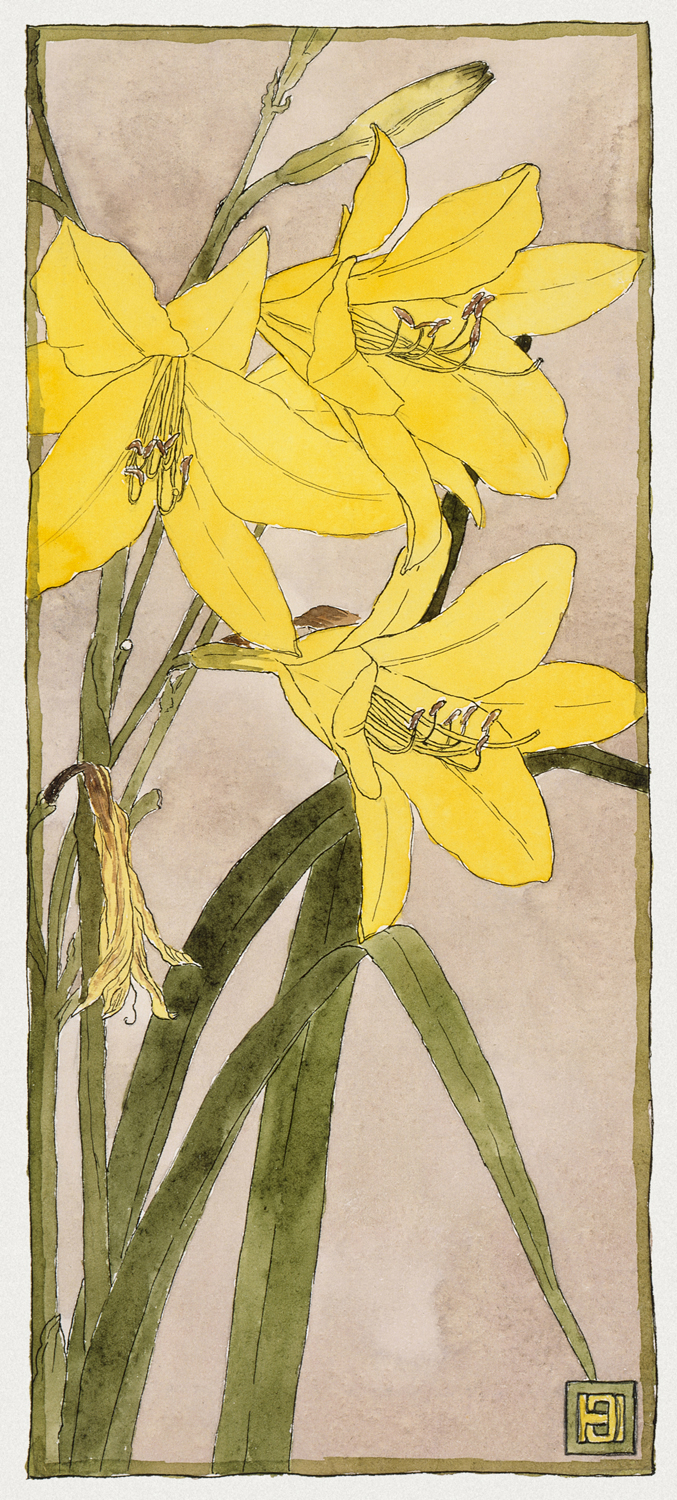 Yellow Daylily, 1915