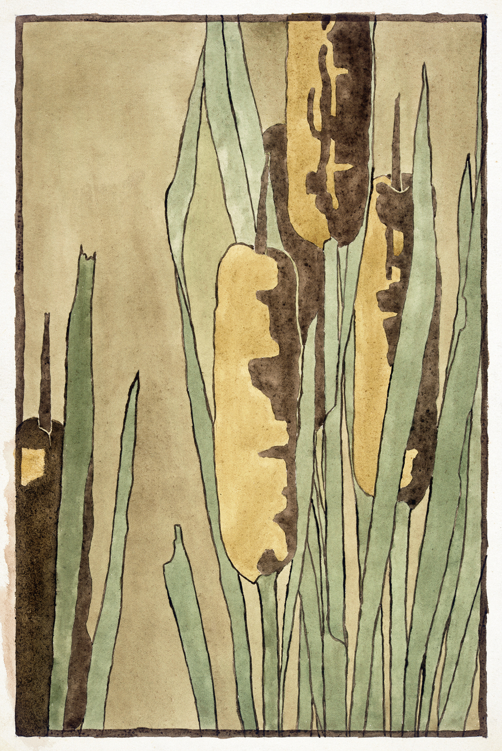 Cattail, 1915
