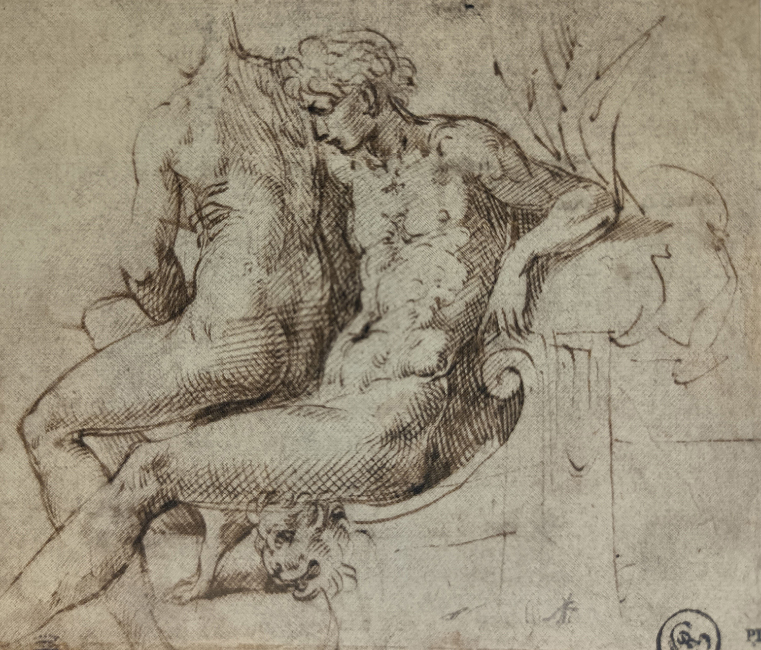 Figure Study, c. 1524-27