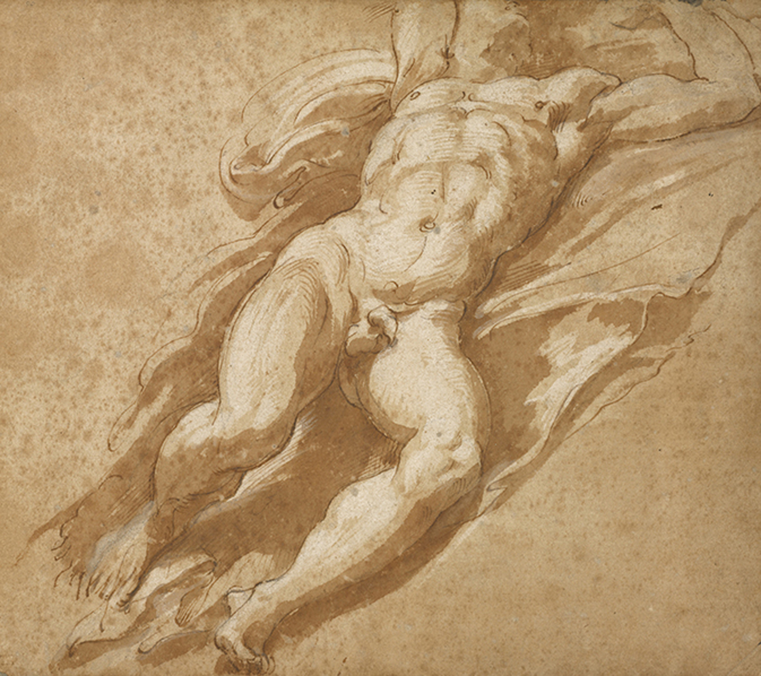 Figure Study, c. 1526-27