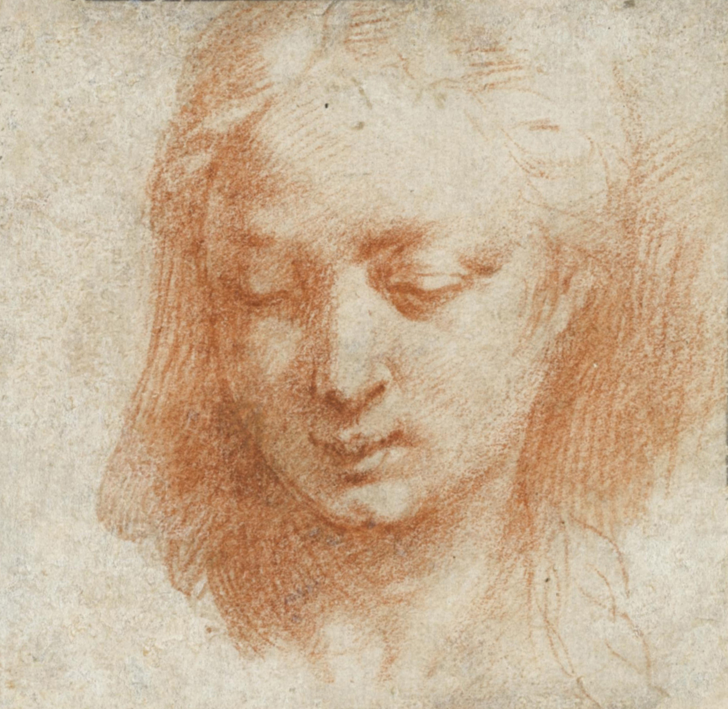 Head of a Woman, 16th century