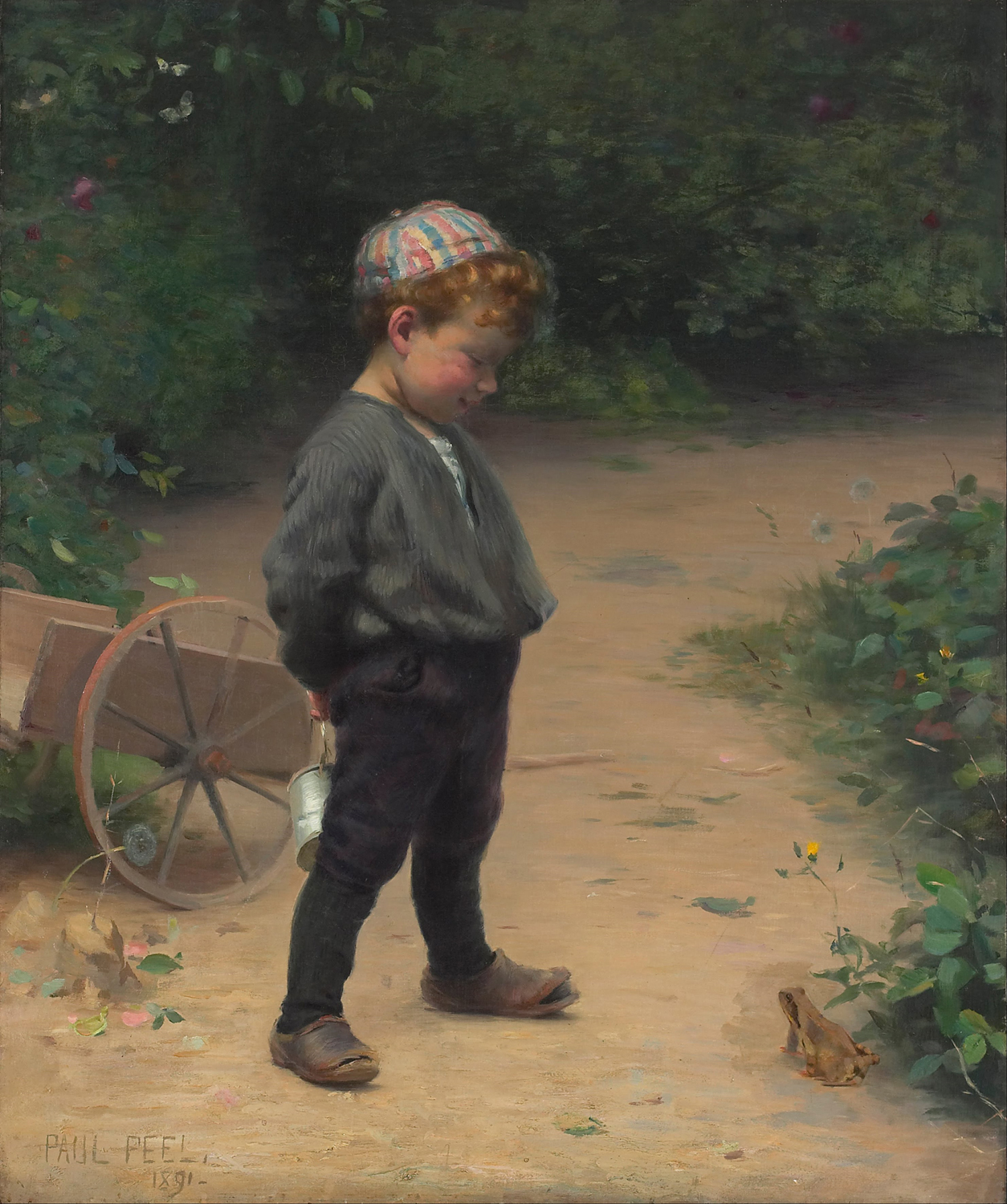 The Young Biologist, 1891