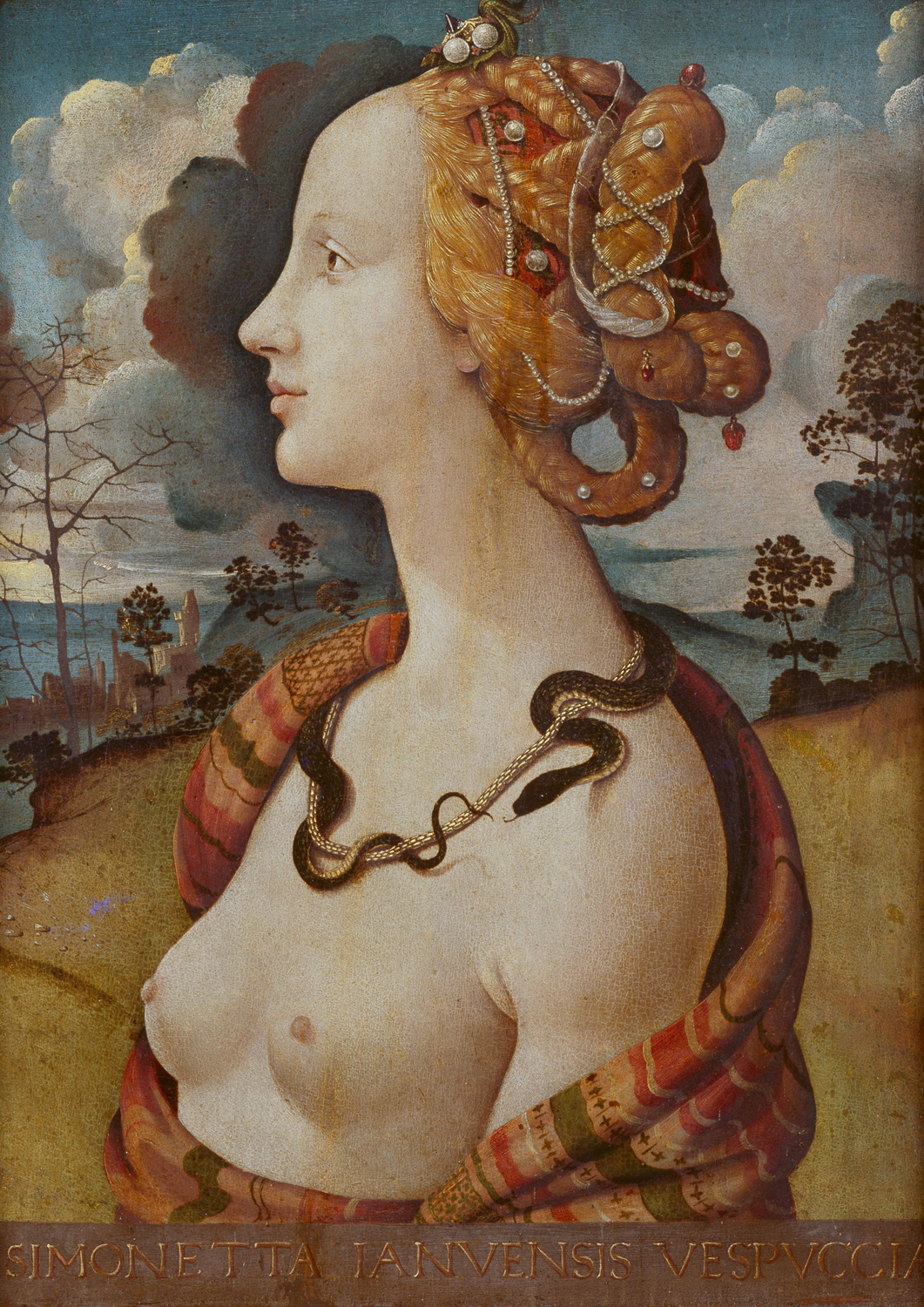 Portrait of a Woman, Simonetta Vespucci, 1490