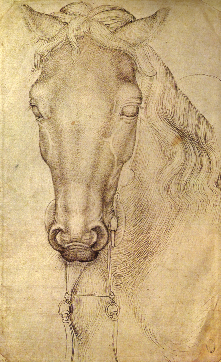 Harnessed Horse, c. 1434-45