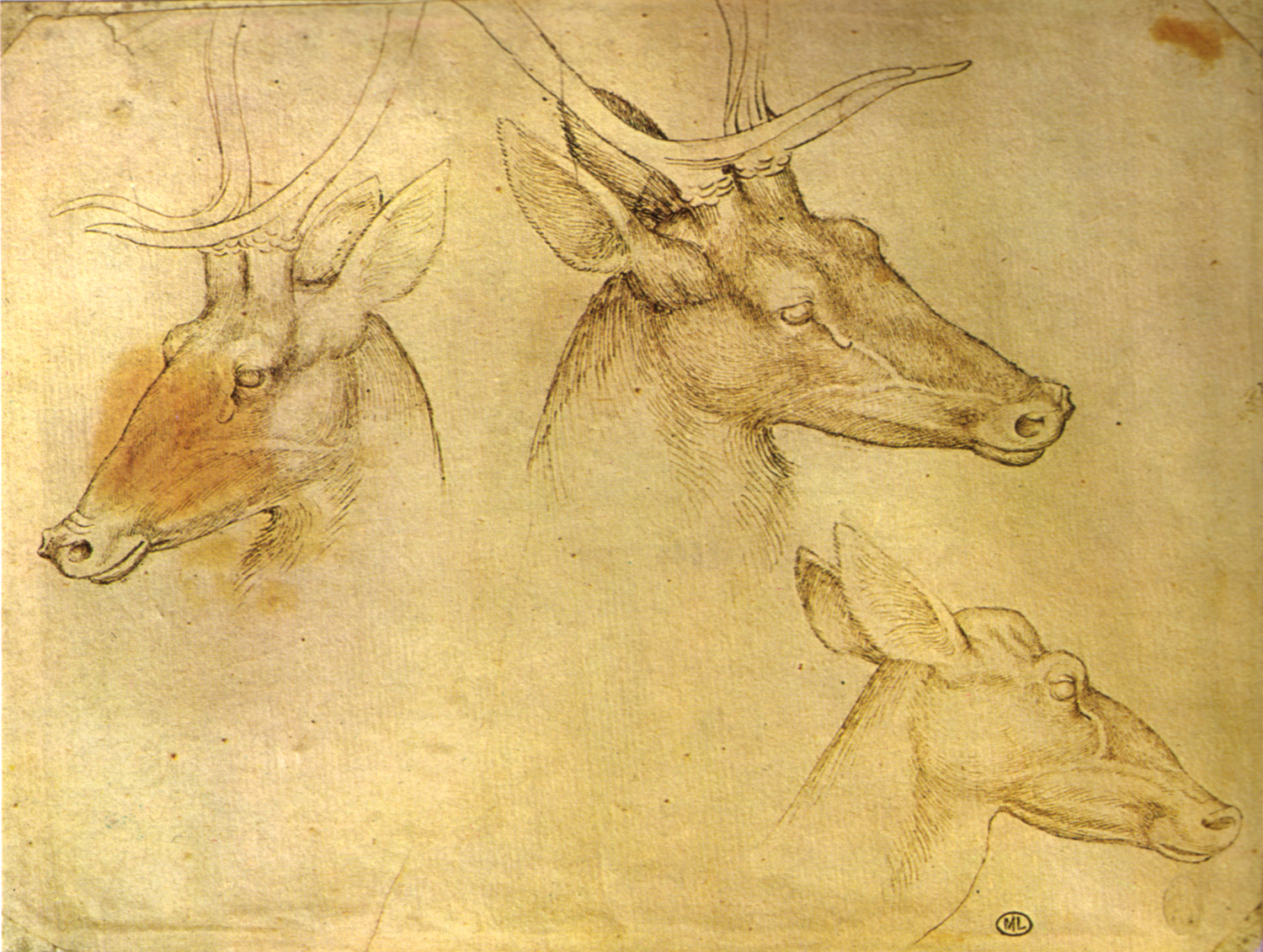 Deer, 15th Century