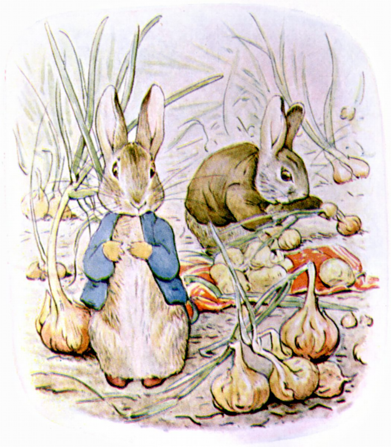 Benjamin and Peter gathering onions, from The Tale of Benjamin Bunny, 1904