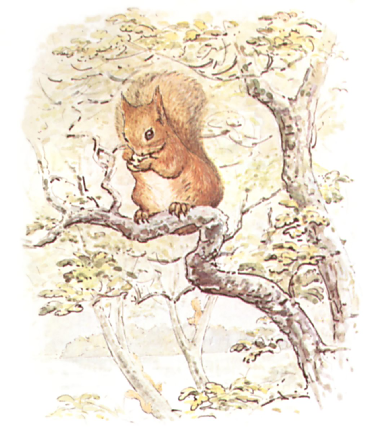 Squirrel Nutkin, 1903