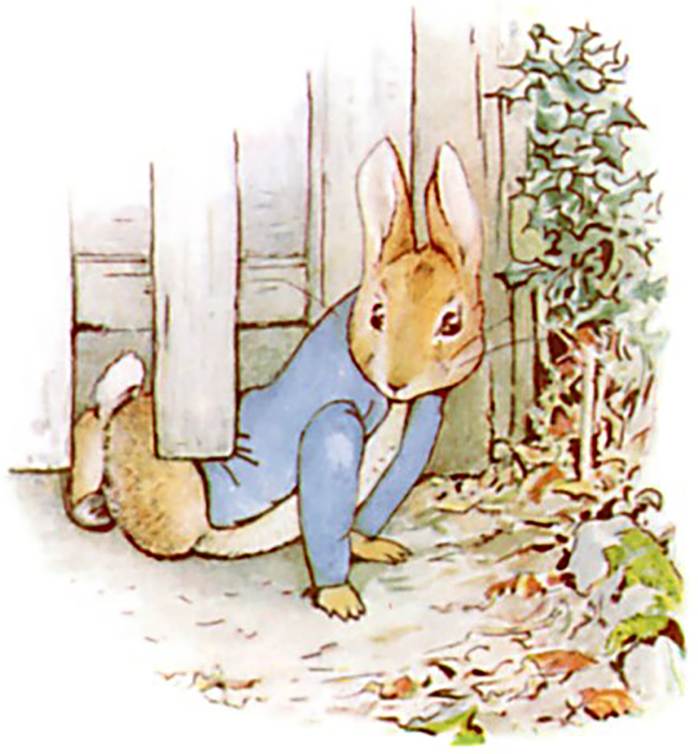 Illustration from children's book, The Tale of Peter Rabbit, 1902