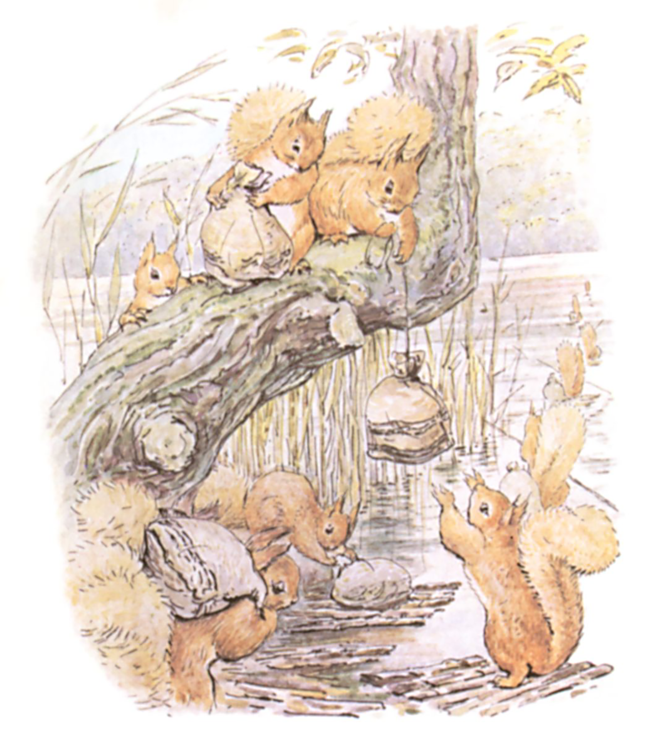 Illustration from The Tale of Squirrel Nutkin,1903