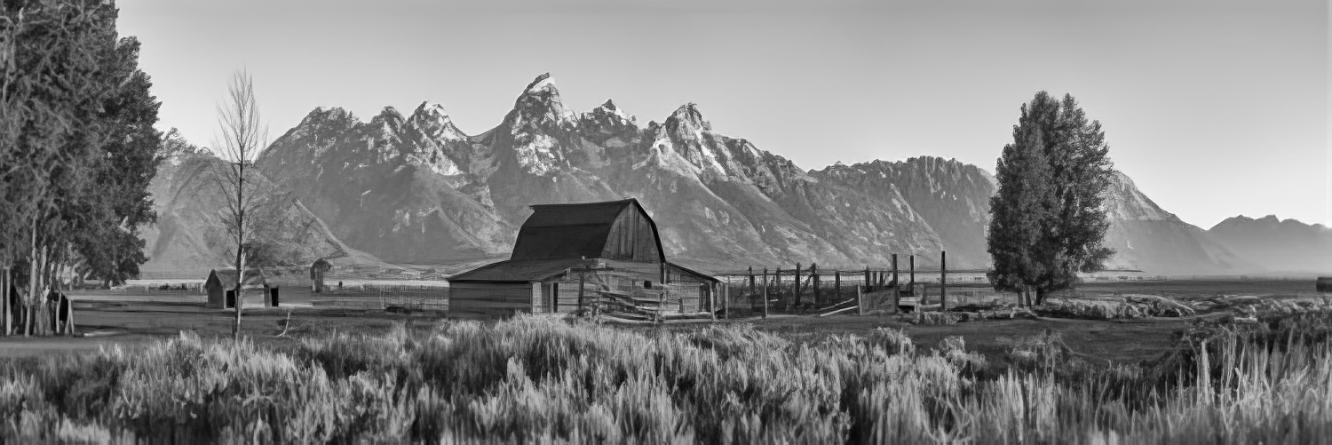Montana View