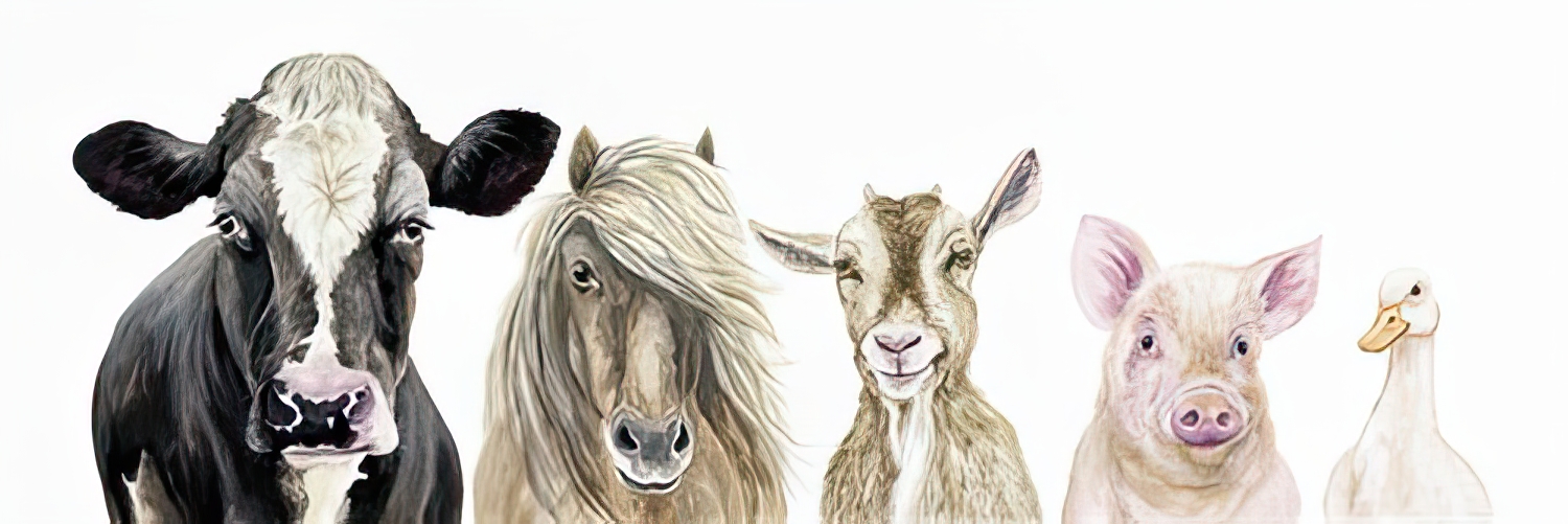 Farmyard Formation
