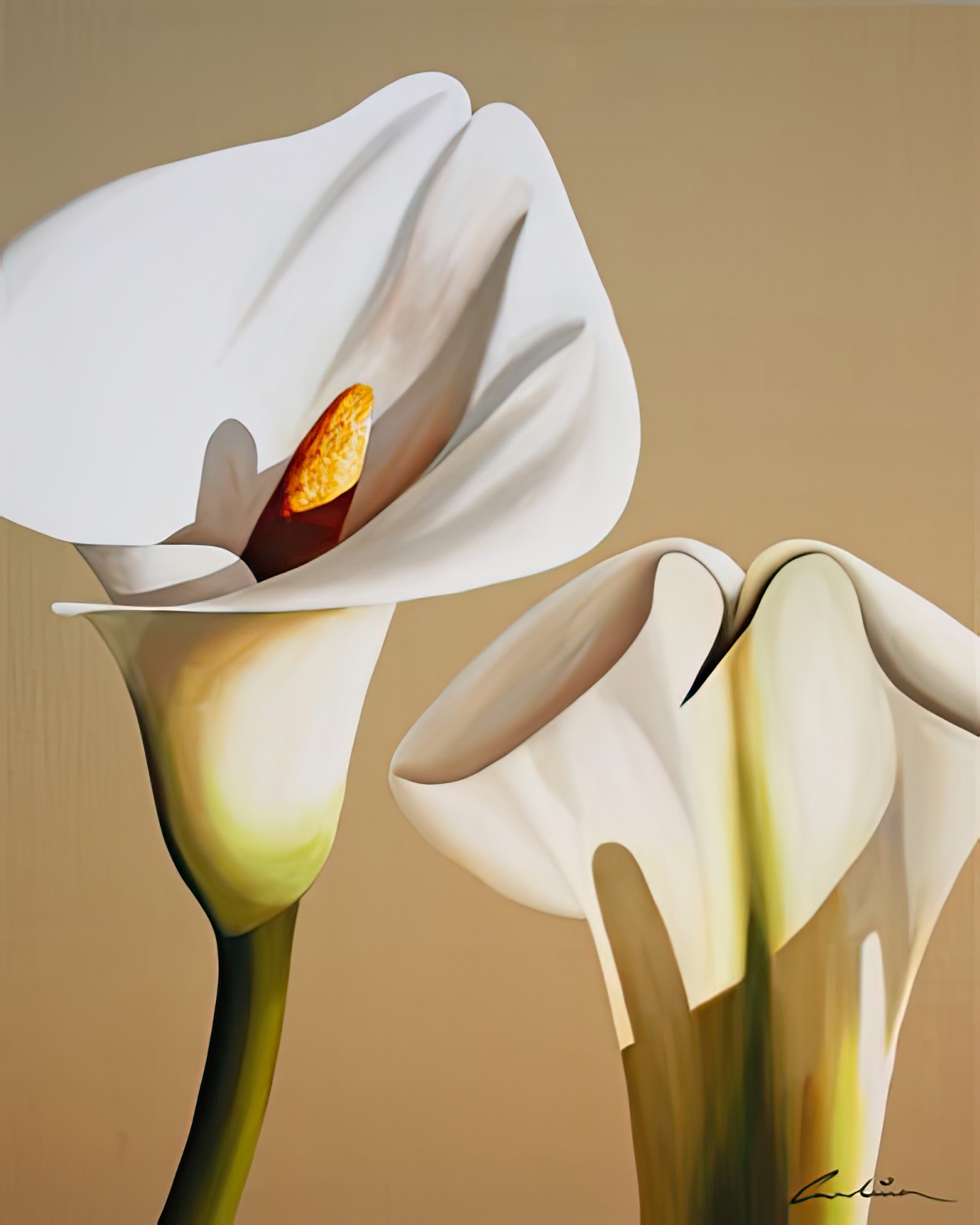 Smooth Lilies
