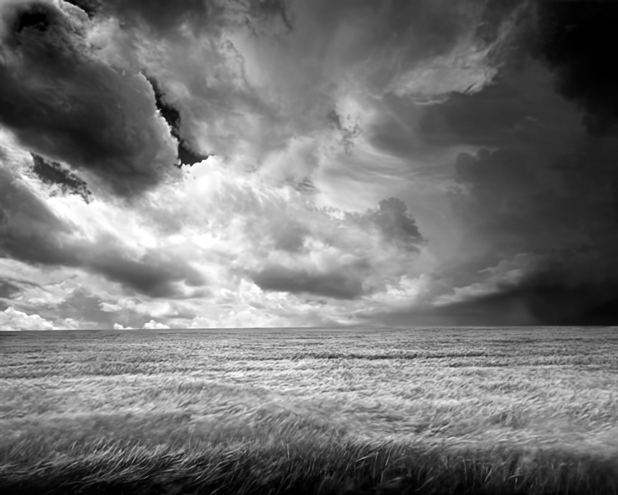 Summer Storm