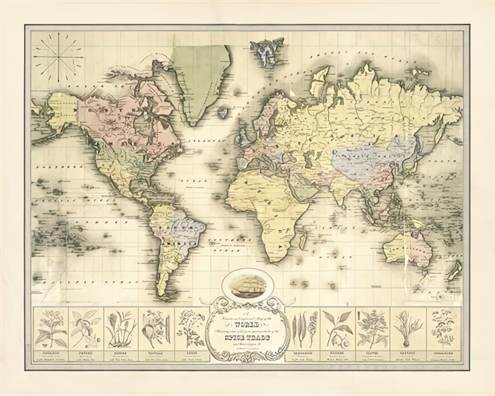 World Spice Trade Map