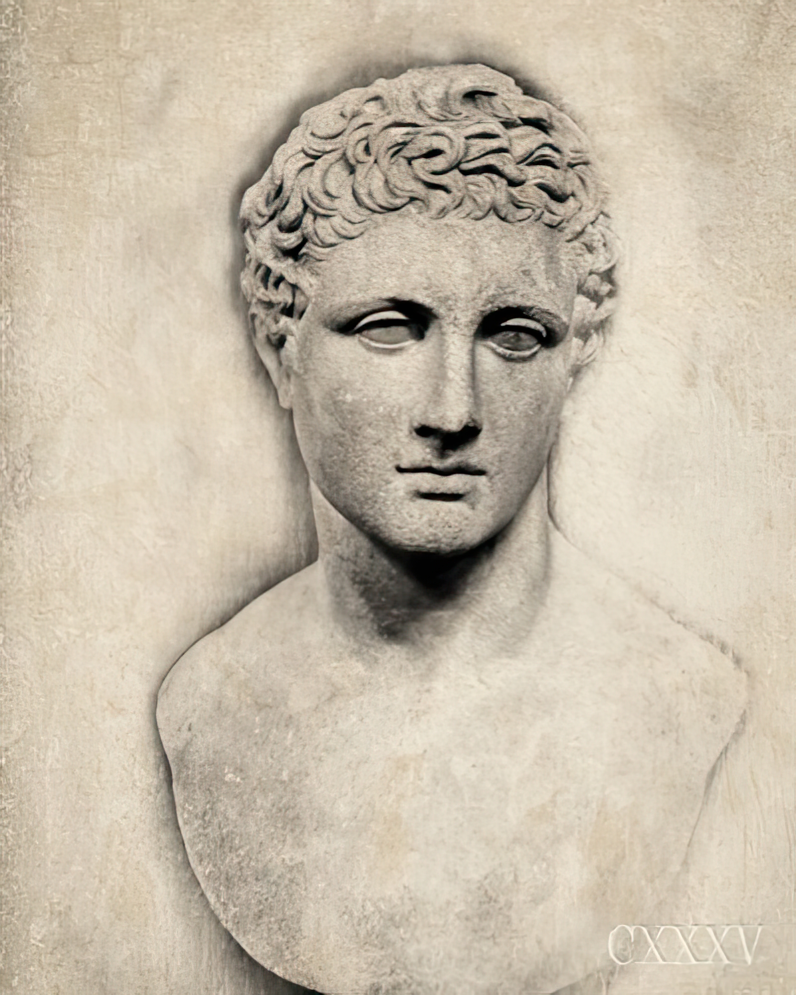 Classical Study - Perseus